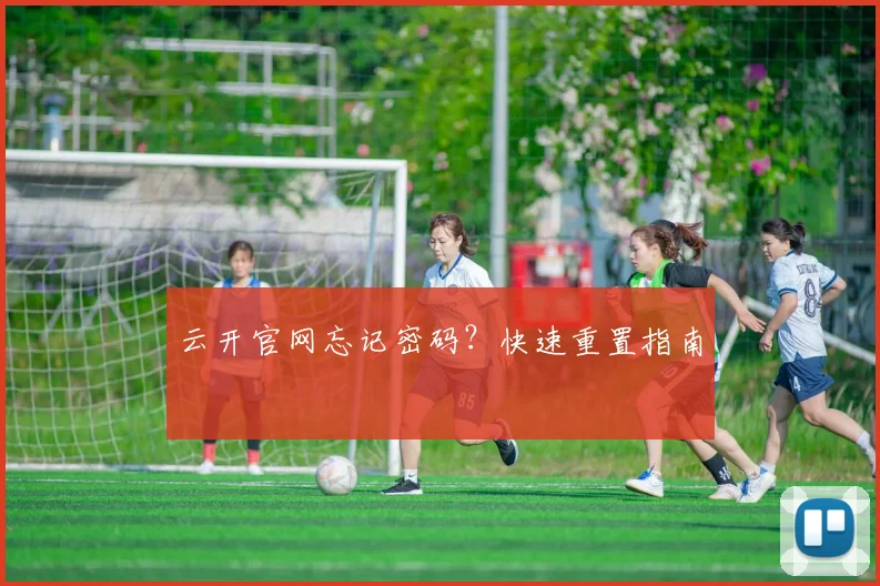 云开官网忘记密码？快速重置指南
